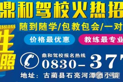 淄川司机招聘信息详解，应聘指南与步骤全解析