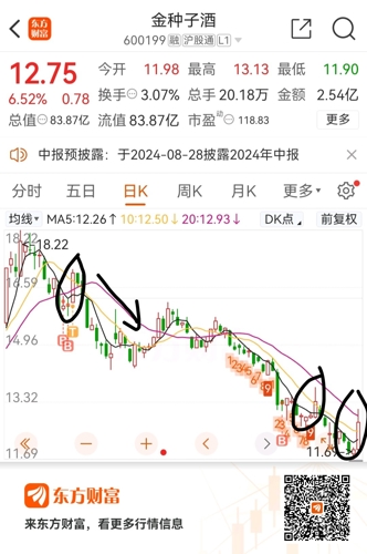 金种子酒股价最新动态及小巷深处的酿酒传奇揭秘