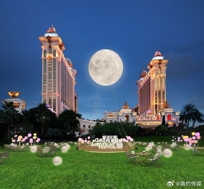 ＂澳门一肖一码100%精准的背景故事＂的：植物保护_高效版8.4
