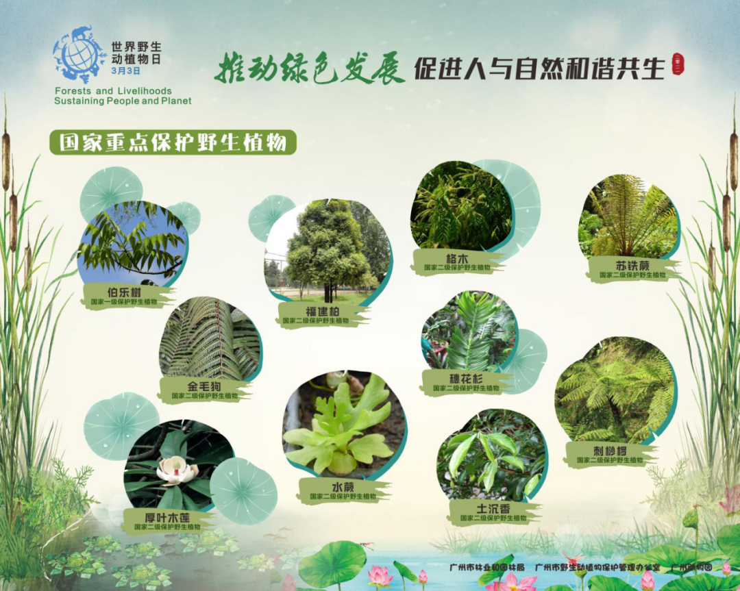 ＂0149开奖澳门网＂的：植物保护_见证版3.37