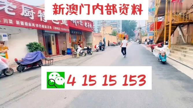 ＂2024澳门天天开好彩大全162＂的：深入探讨方案策略_高效版6.77