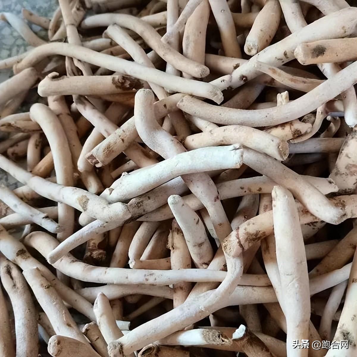 毫州药材最新价格表，学习变化，成就自信之源