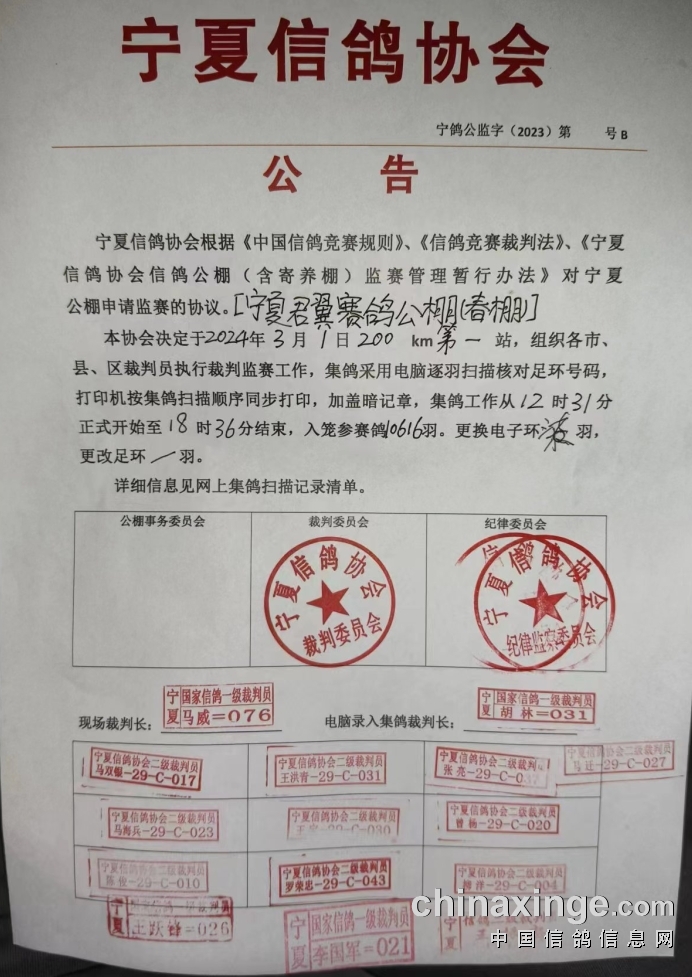 灵武信鸽协会最新公告发布，关注协会最新动态
