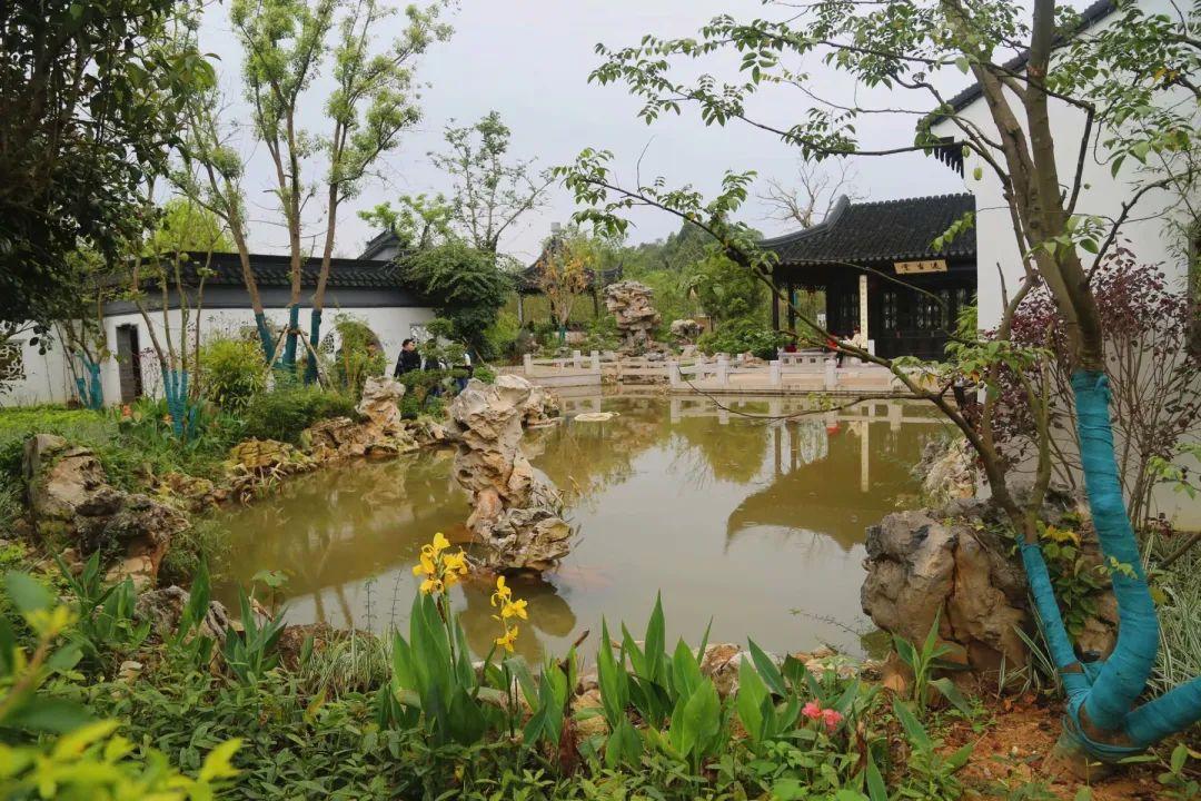 南宁园搏园最新动态揭秘，游园攻略与技能学习指南