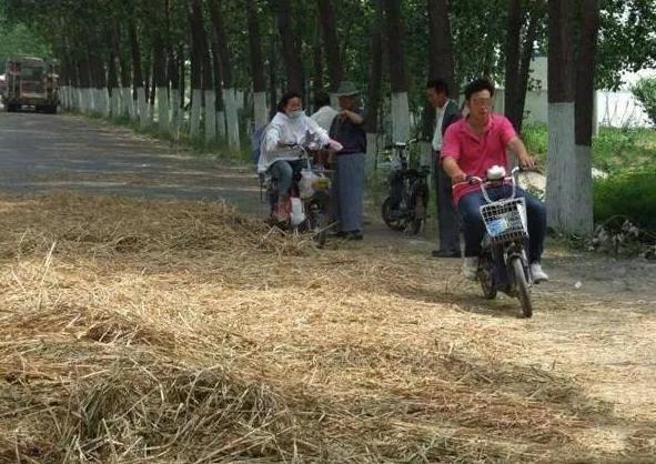震惊！回顾沂水交通事故，警钟长鸣！
