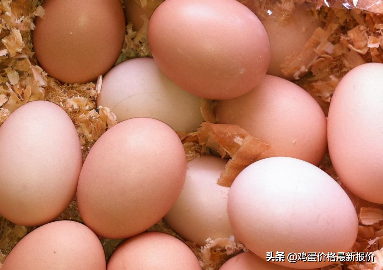 鸡蛋批发价格行情解析，如何获取最新资讯并做出明智决策
