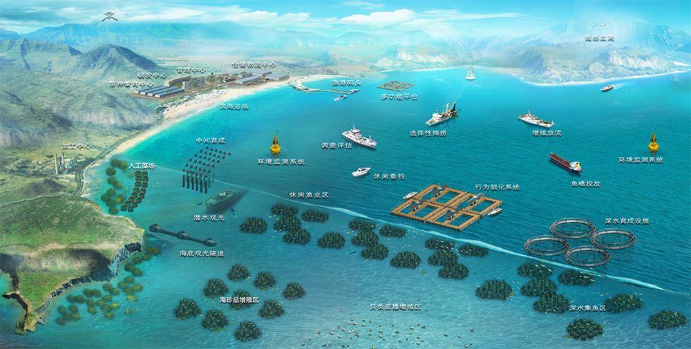 最新海洋渔业资讯，获取方法与技能提升步骤指南