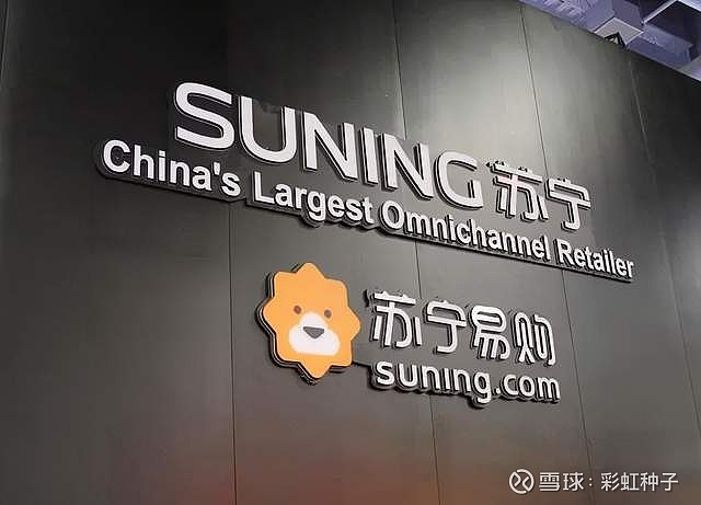 苏宁上市，小巷特色小店的崛起之路
