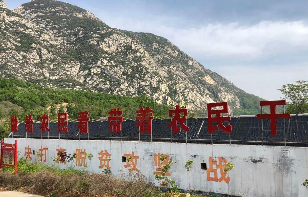 光伏承包安装价格表，科技之光引领绿色生活之选