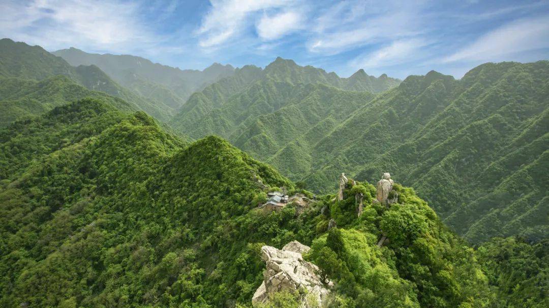 秦岭最新动态，探险之旅与温情之旅的奇妙交汇