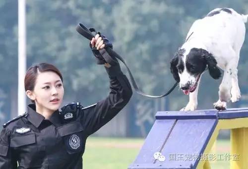 警花与警犬，铁血柔情演绎真实警魂的演员们