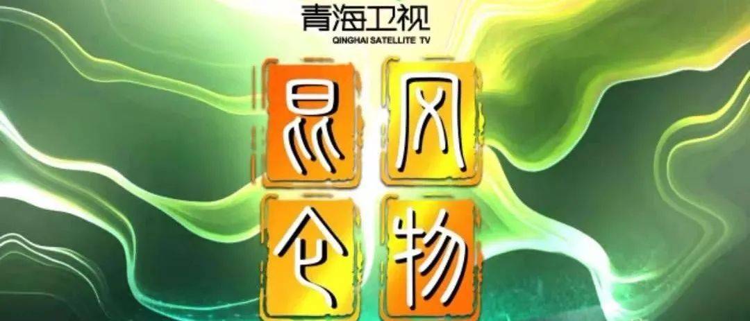 青海人事任免最新动态，温情故事揭秘人事变迁
