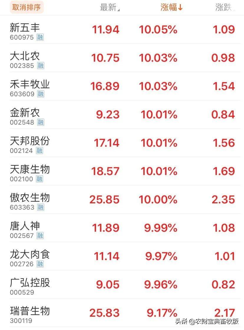 股票新五丰，深度解析投资价值与策略选择