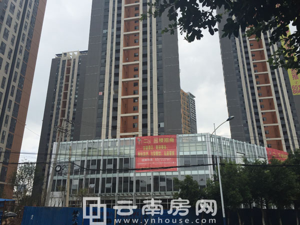 昆明名旺角最新资讯全攻略，资讯获取指南与动态速递