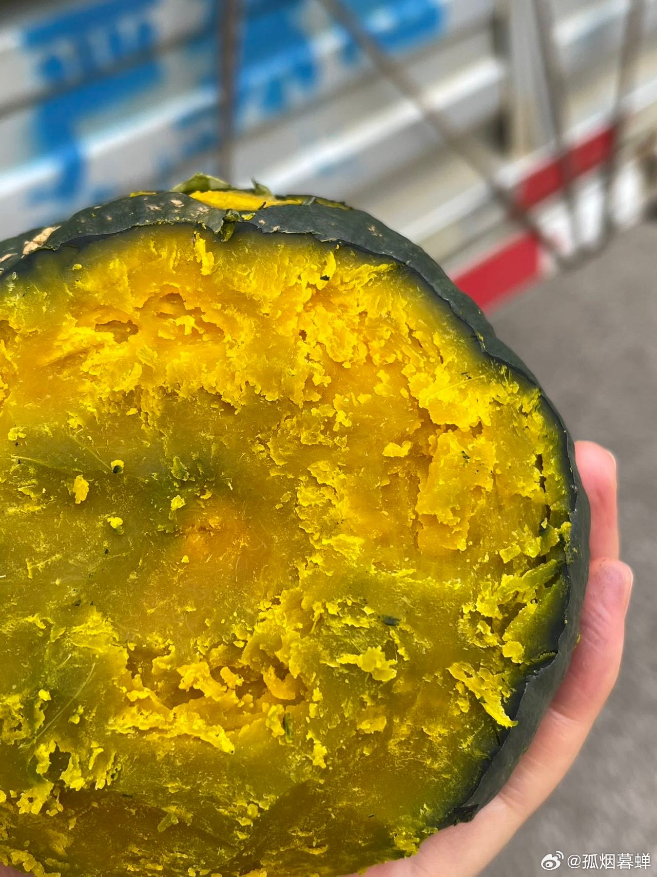 钩花新品速递，一场与自然的美丽遨游之旅