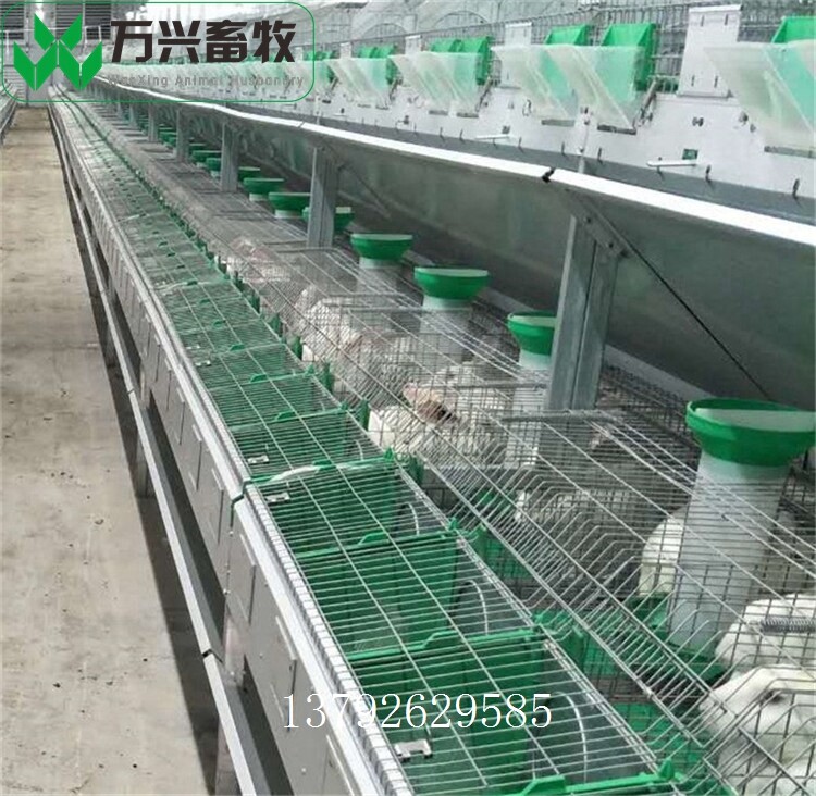 革新养兔业，新型兔笼引领里程碑式发展