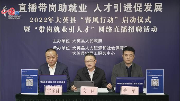 大英县职位招聘探秘，小巷宝藏与特色小店的邂逅之旅