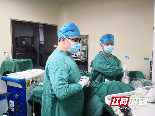 永州湘雅医院最新动态更新📢绿意盎然健康前行