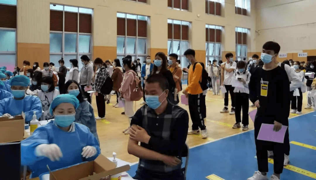 大石桥孔垂远最新动态，自然美景探索之旅启程