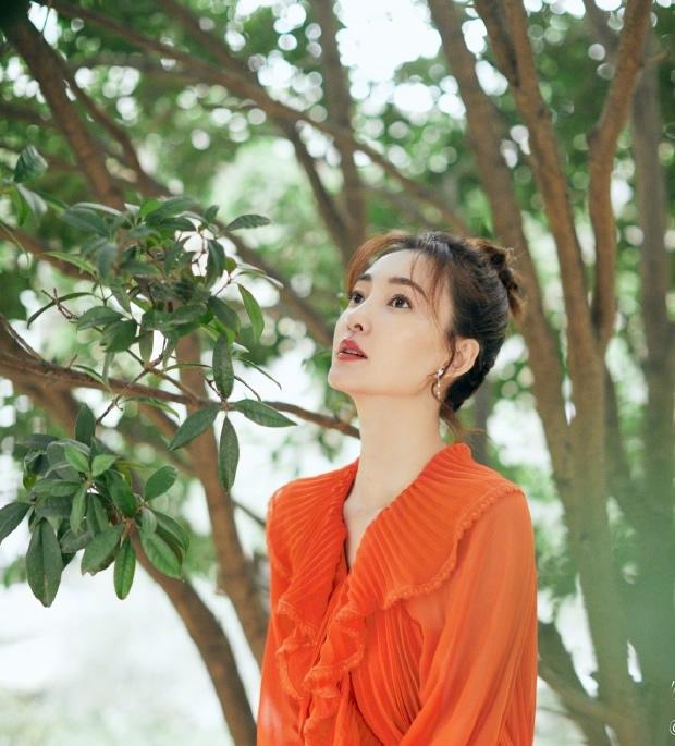 王丽坤最新电视剧，巷弄深处的星光与独特小店之旅