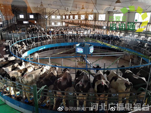办公打印 第15页