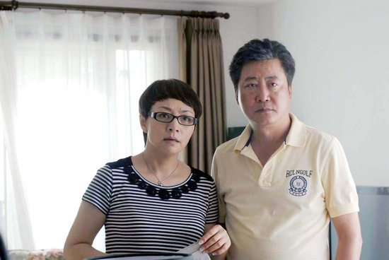 赵宝刚最新电视剧深度解析与探讨，新剧探讨与探讨