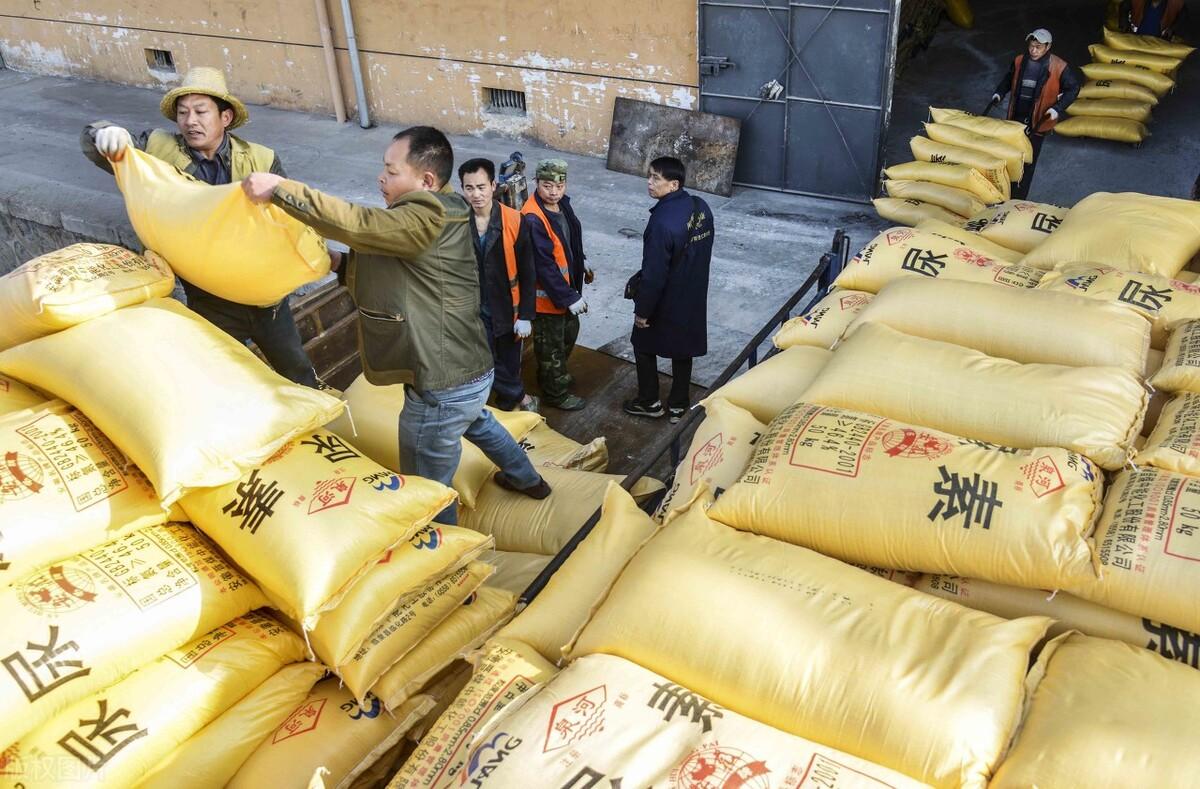 全国尿素最新价格，科技重塑生活下的新面貌