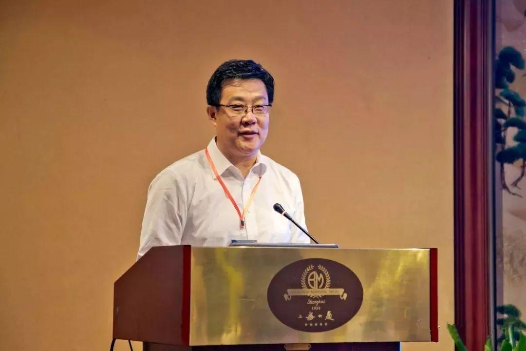 大连长兴岛最新动态更新