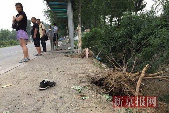 房山车祸真相揭秘，最新消息与各方观点汇总