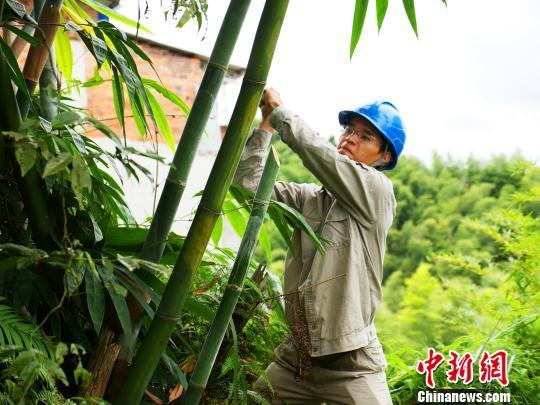 宁德台风最新动态，科技智能守护安全前沿