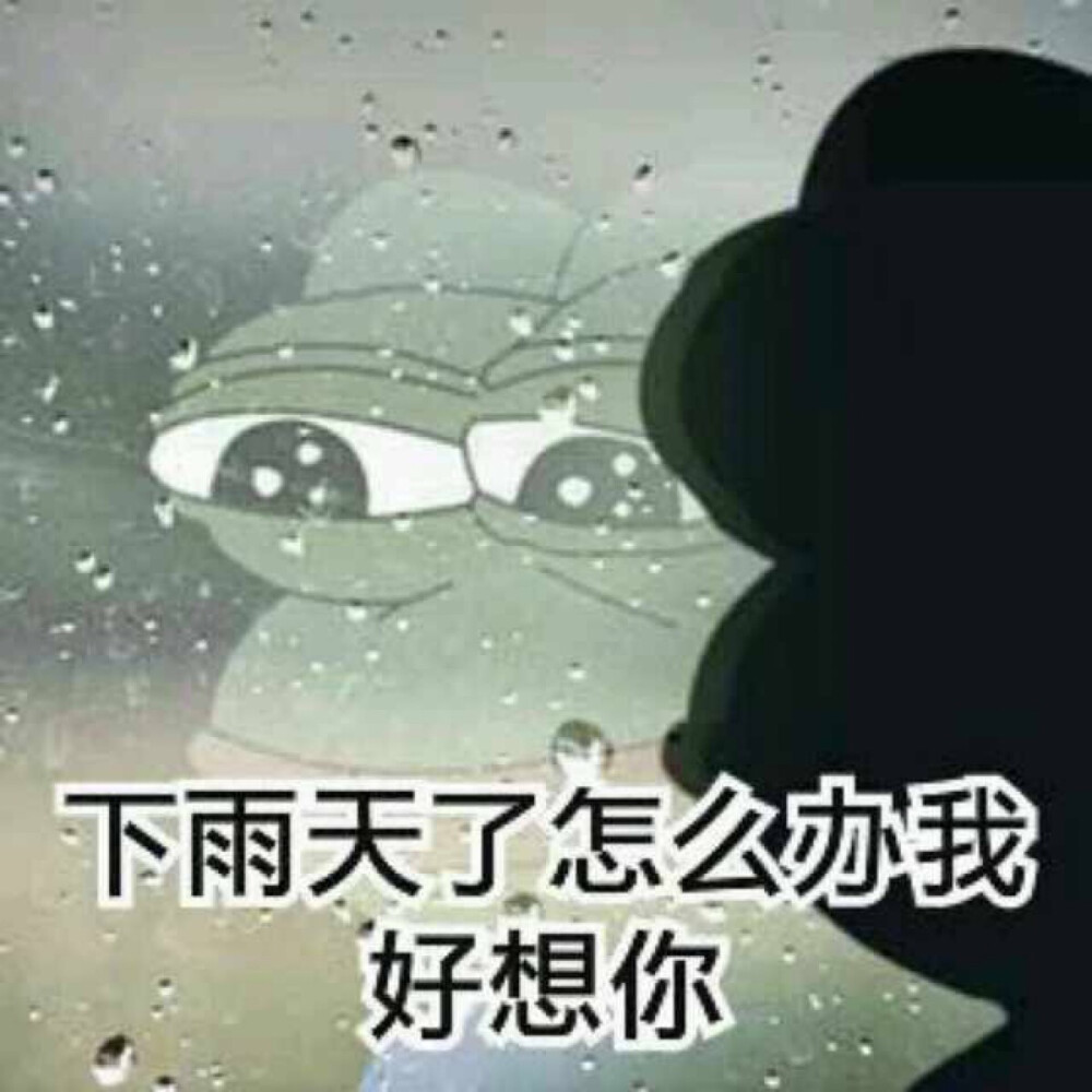 微信下雨表情包，网络文化现象的深度探析