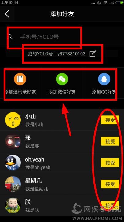 Yolo主播号最新探索，前沿内容与独家内容的交汇