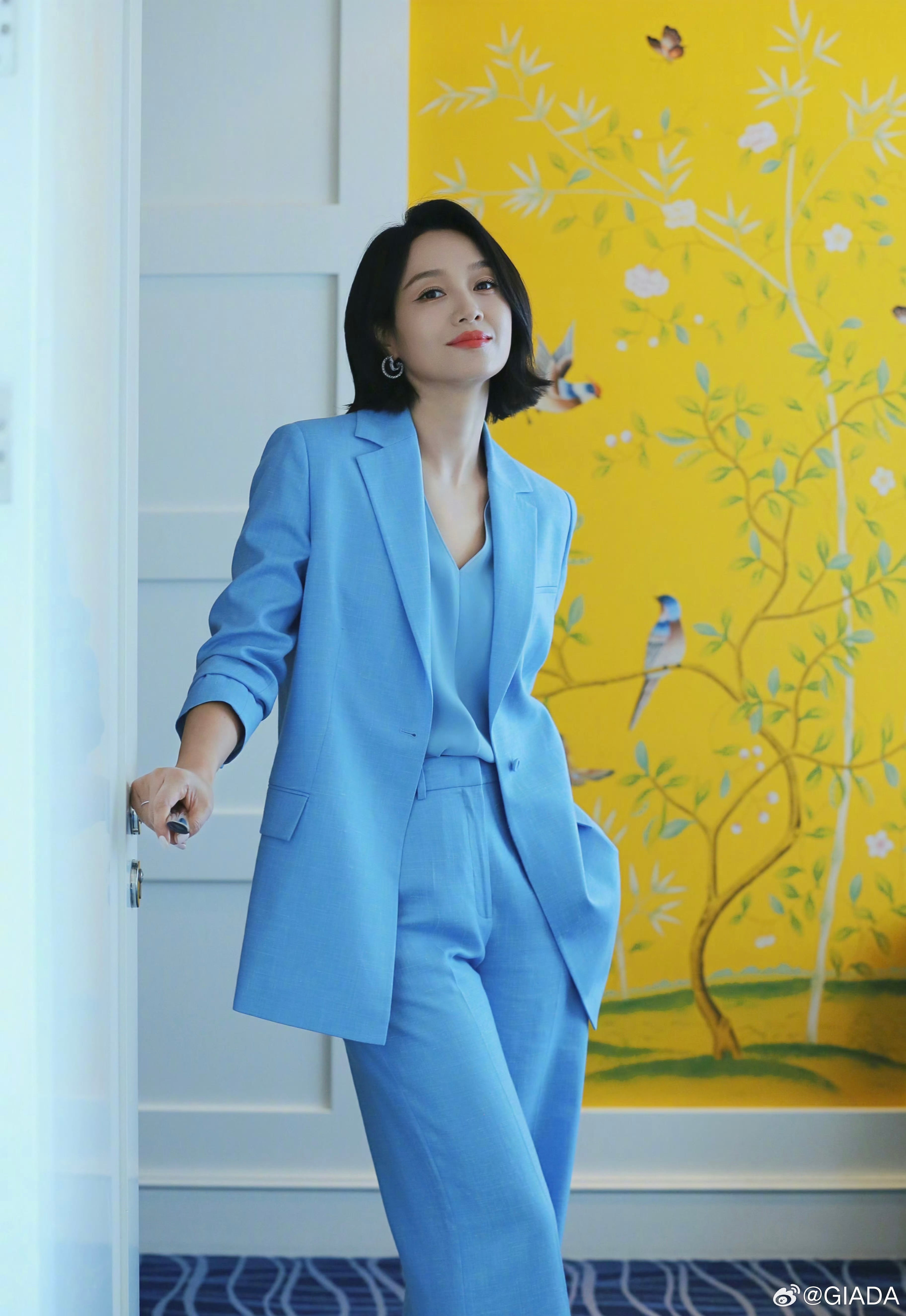朱丹心灵与自然的奇妙之旅，最新消息揭晓！