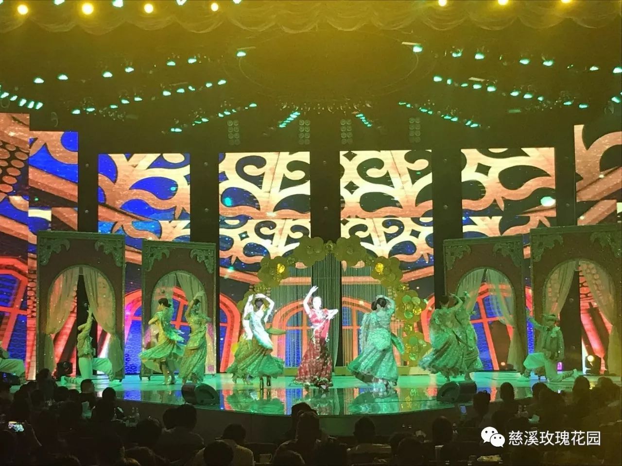 慈溪玫瑰花园最新视频，绽放的玫瑰盛世美景